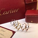2018 New Cheap AAA Quality Cartier Earrings For Women # 197233, cheap Cartier Earrings