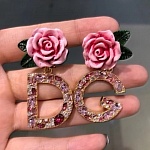 2019 New Cheap AAA Quality D&G Earrings For Women # 197335
