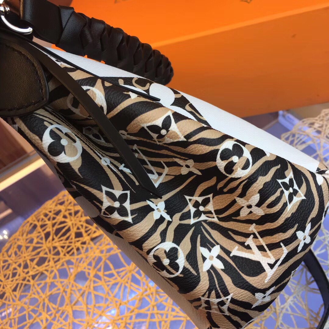 Louis Vuitton Ladies Bags 2020 Literacy Basics