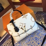 2020 Cheap Louis Vuitton Handbags For Women # 222648