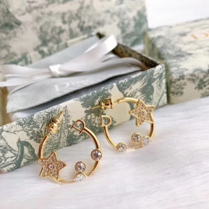 $33.00,2020 Dior Earrings For Women # 231124