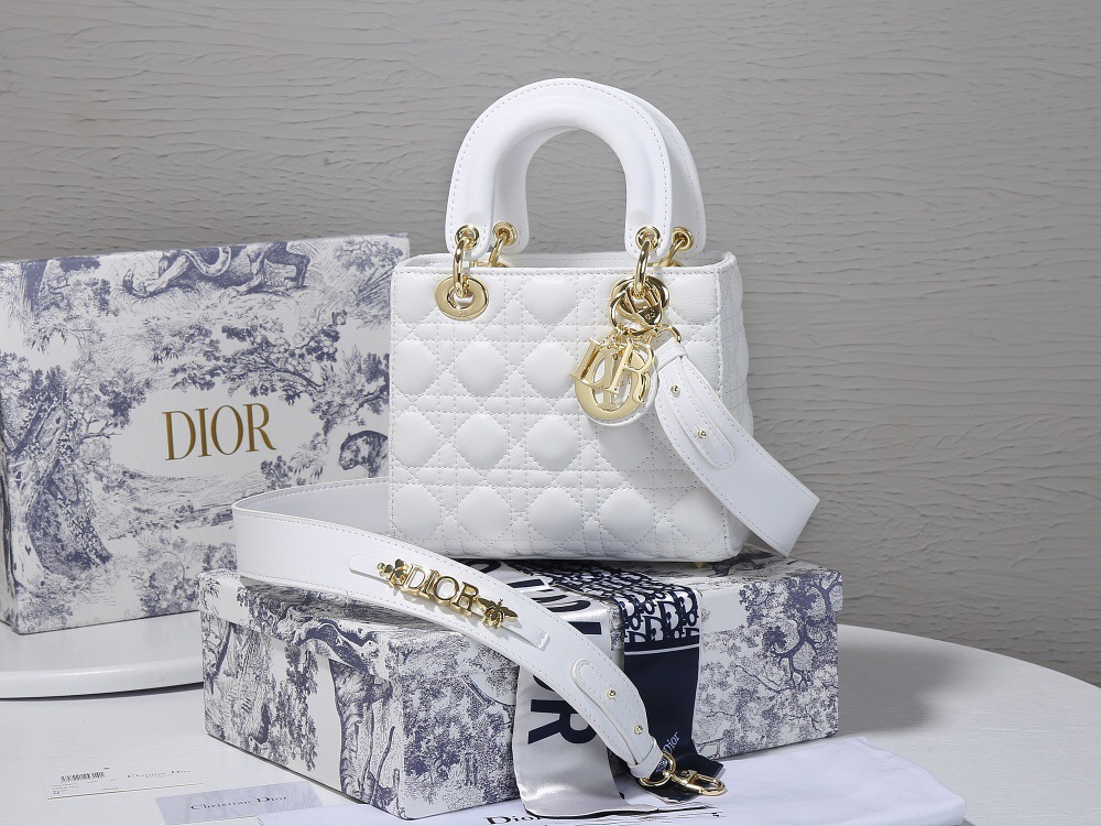 Cheap 2020 Dior Handbags For Men 231837,105 [FB231837] Designer