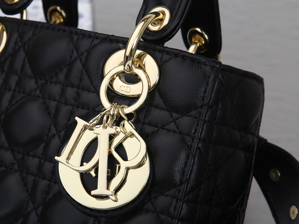 What Is The Cheapest Dior Bag IUCN Water