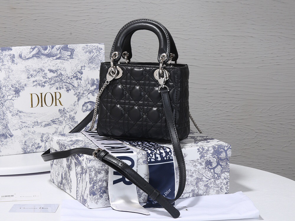 Dior Handbags Price In Delhi India 2020 Literacy Basics