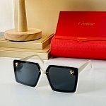 Cartier Sunglasses Unisex in 258091