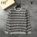 Louis Vuitton Sweater For Men in 261402