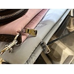 Louis Vuitton Maxi Multi Pochette Accessoires  # 268750, cheap LV Handbags