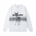 Burberry Sweatshirts For Men # 272229