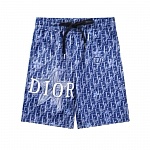 Dior Board Shorts Fo...